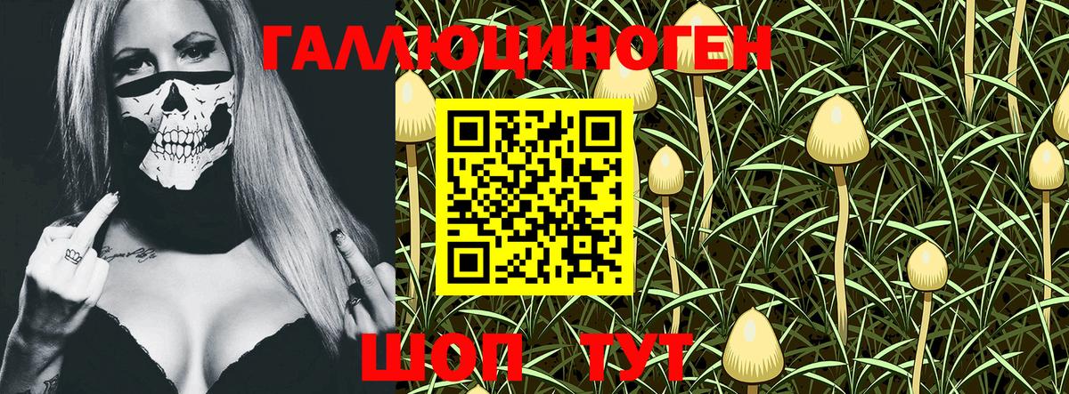 Нерюнгри  Псилоцибиновые грибы MAGIC MUSHROOMS  Вход с VPN  Псилоцибиновые грибы Magic Shrooms 